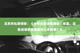 北京市私家侦探：《分手后的深情挽留：朋友，这些话语能否唤醒你心中的爱？》