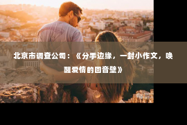 北京市调查公司：《分手边缘，一封小作文，唤醒爱情的回音壁》