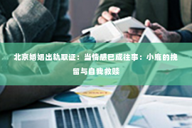 北京婚姻出轨取证：当情感已成往事：小鹿的挽留与自我救赎