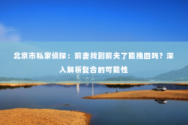 北京市私家侦探：前妻找到前夫了能挽回吗？深入解析复合的可能性