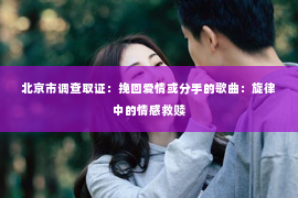 北京市调查取证：挽回爱情或分手的歌曲：旋律中的情感救赎