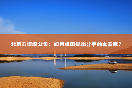 北京市侦探公司：如何挽回提出分手的女友呢？
