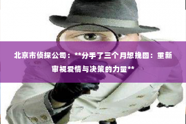 北京市侦探公司：**分手了三个月想挽回：重新审视爱情与决策的力量**