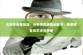 北京市调查取证：分手挽回感情的图片：情感修复的艺术与策略