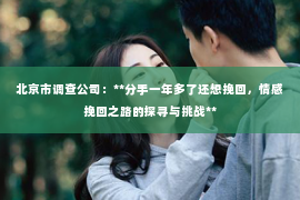北京市调查公司：**分手一年多了还想挽回，情感挽回之路的探寻与挑战**