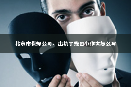 北京市侦探公司：出轨了挽回小作文怎么写