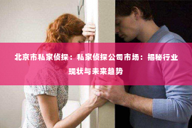 北京市私家侦探：私家侦探公司市场：揭秘行业现状与未来趋势