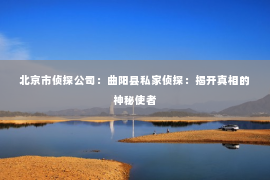 北京市侦探公司：曲阳县私家侦探：揭开真相的神秘使者