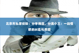 北京市私家侦探：分手挽回，分离小三：一段情感的纠葛与救赎