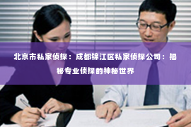 北京市私家侦探：成都锦江区私家侦探公司：揭秘专业侦探的神秘世界