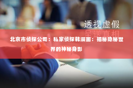 北京市侦探公司：私家侦探韩漫画：揭秘隐秘世界的神秘身影