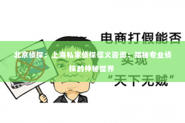 北京侦探：上海私家侦探信义咨询：揭秘专业侦探的神秘世界