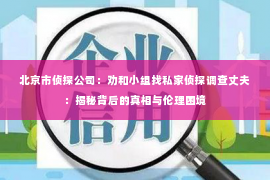 北京市侦探公司：劝和小组找私家侦探调查丈夫：揭秘背后的真相与伦理困境
