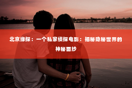 北京缘探：一个私家侦探电影：揭秘隐秘世界的神秘面纱