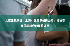 北京出轨取证：上海中弘私家侦探公司：揭秘专业侦探服务的秘密世界