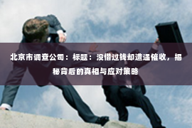 北京市调查公司：标题：没借过钱却遭遇催收，揭秘背后的真相与应对策略