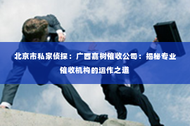 北京市私家侦探：广西嘉树催收公司：揭秘专业催收机构的运作之道