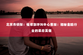 北京市侦探：催收部呼叫中心客服：揭秘金融行业的幕后英雄