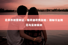 北京市调查取证：催收函收费标准：揭秘行业规范与实际案例