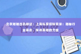 北京婚姻出轨取证：上海私家侦探资深：揭秘行业幕后，探寻真相的力量