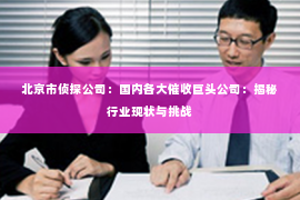 北京市侦探公司：国内各大催收巨头公司：揭秘行业现状与挑战