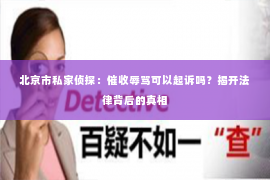 北京市私家侦探：催收辱骂可以起诉吗？揭开法律背后的真相