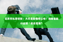 北京市私家侦探：大众金融催收公司：揭秘金融行业的“幕后英雄”