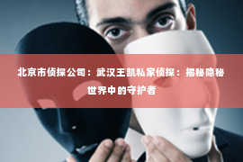 北京市侦探公司：武汉王凯私家侦探：揭秘隐秘世界中的守护者