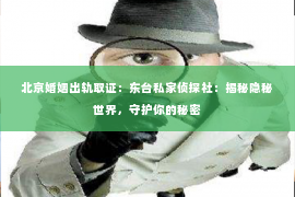 北京婚姻出轨取证：东台私家侦探社：揭秘隐秘世界，守护你的秘密