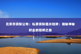 北京市侦探公司：私家侦探临沂招聘：揭秘神秘职业的招聘之路