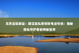 北京出轨取证：塘沽区私家侦探电话号码：揭秘隐私守护者的神秘世界