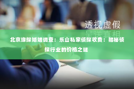 北京缘探婚姻调查：乐山私家侦探收费：揭秘侦探行业的价格之谜