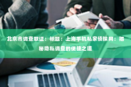 北京市调查取证：标题：上海手机私家侦探网：揭秘隐私调查的便捷之道