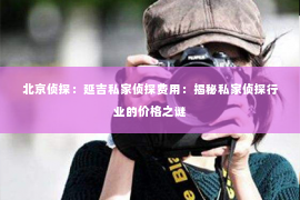 北京侦探：延吉私家侦探费用：揭秘私家侦探行业的价格之谜
